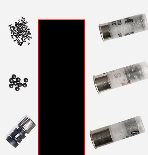 <p>Name these shotgun ammunition</p>