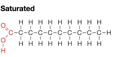 <p>Saturated lipids are unbroken structures and they are not good for the body. These do have a double bond.</p>