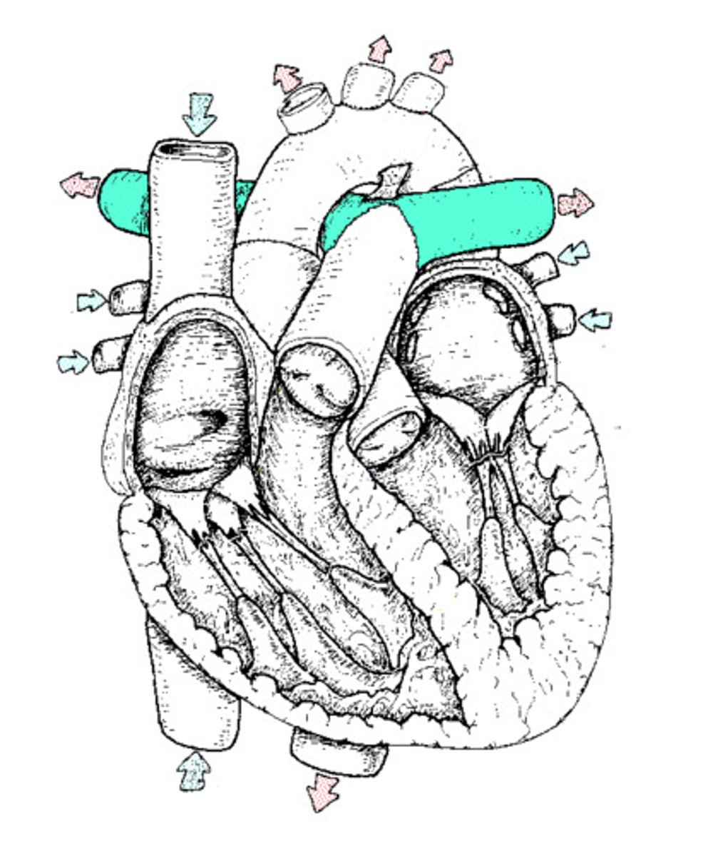 <p>Identify</p>