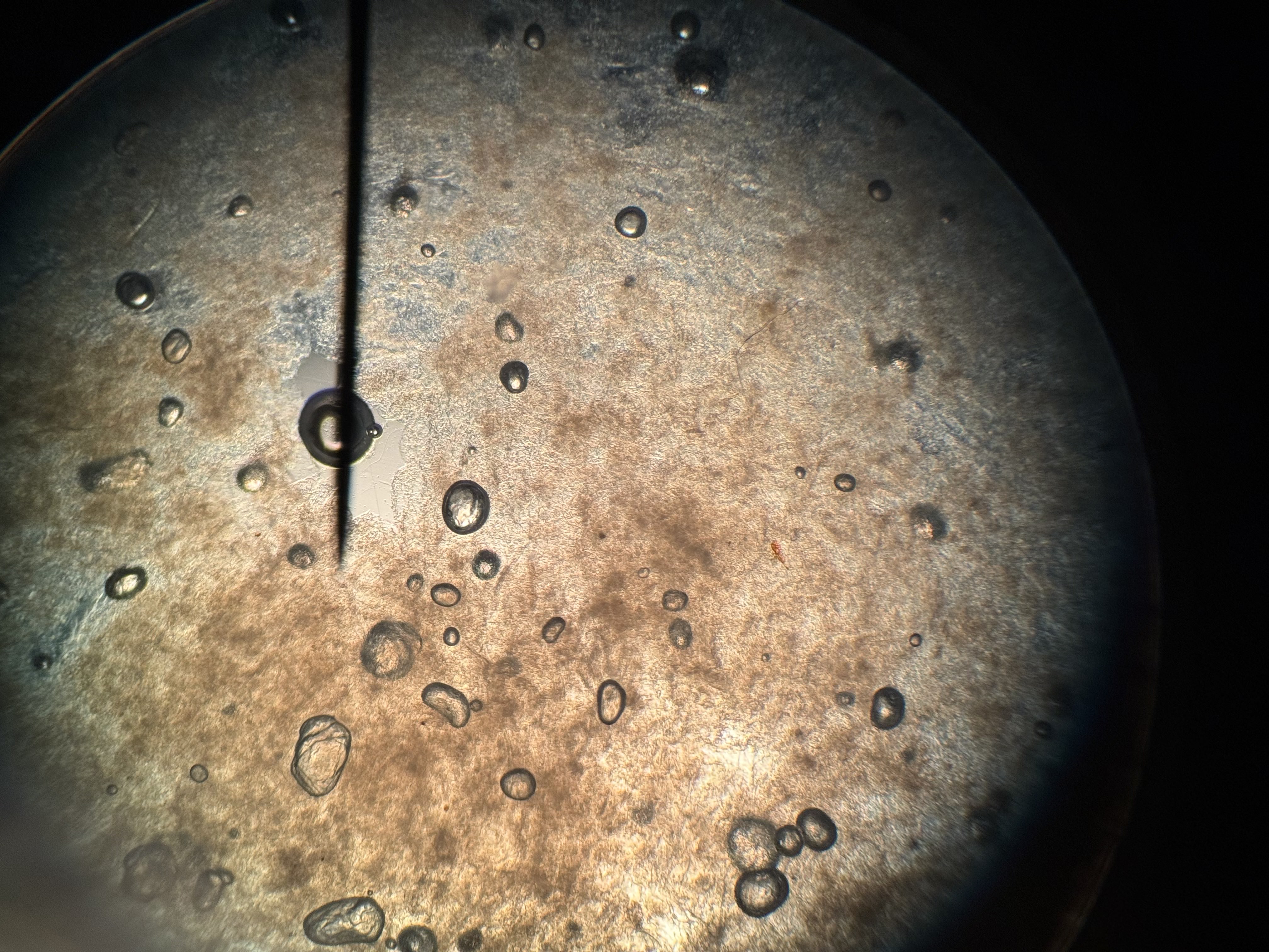 <p>what is this?</p>