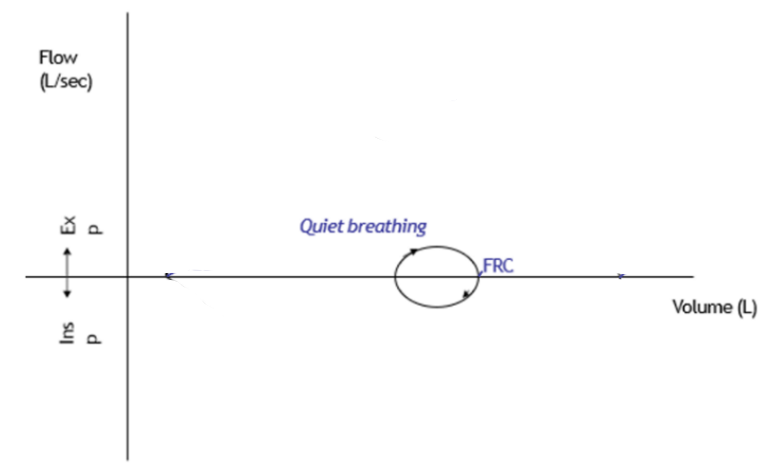 <ul><li><p><span>Small change in volume</span></p></li><li><p><span>Horizontal diameter of small circle = Tidal Volume</span></p></li><li><p><span>In quiet breathing both inspiratory flow rate expiratory flow is ~equal → get circle.</span></p></li></ul>