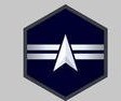 <p>What rank is this and in which branch?</p>