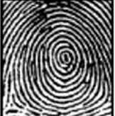 identify fingerprint pattern