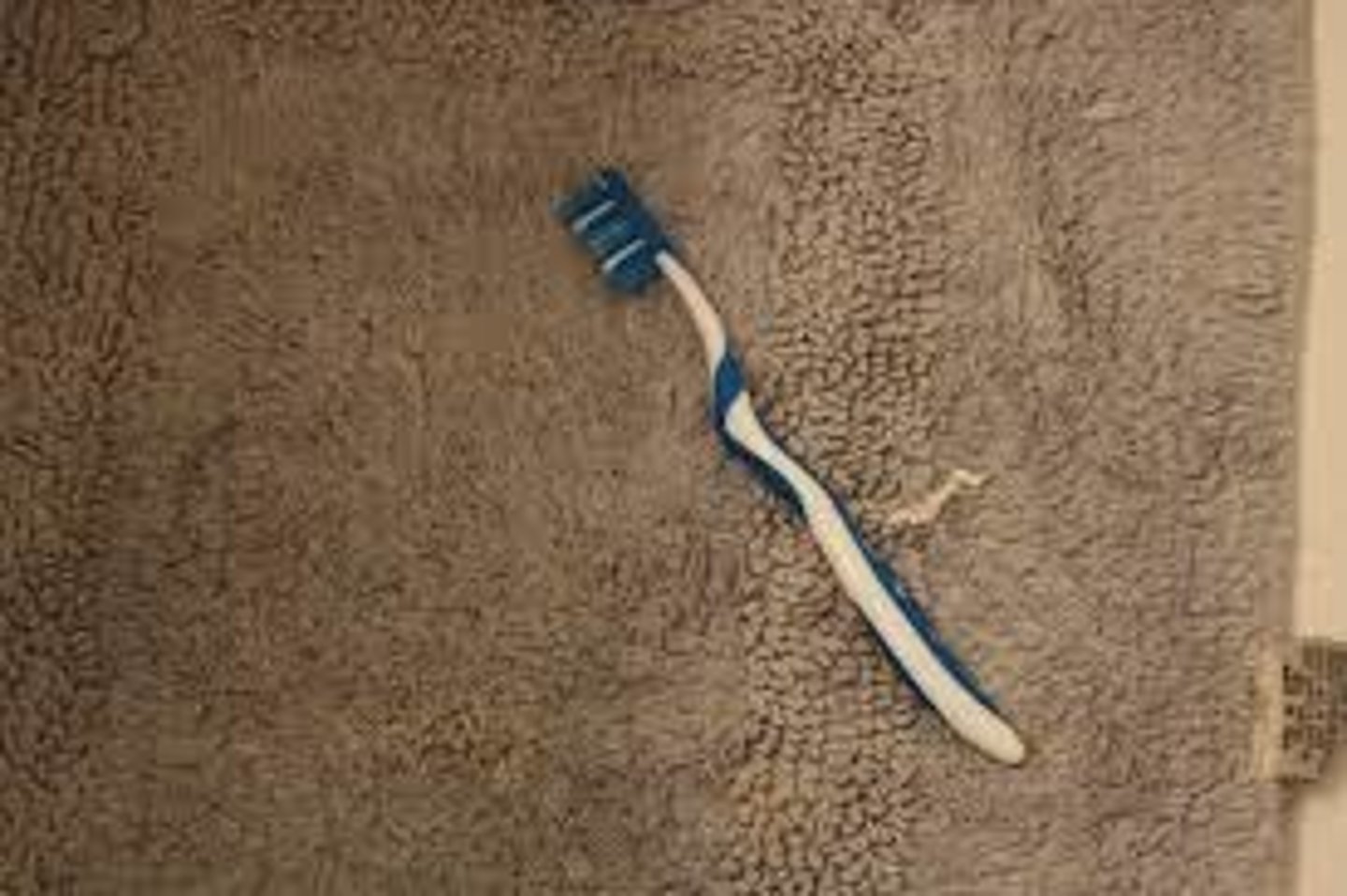 <p>to drop a toothbrush</p>