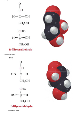 <p>Three-dimensional molecules with structure and space-filling. </p><p>2<sup>n-2</sup></p><p>Ex. L-glyceraldehyde and D-glyceraldhyde</p>