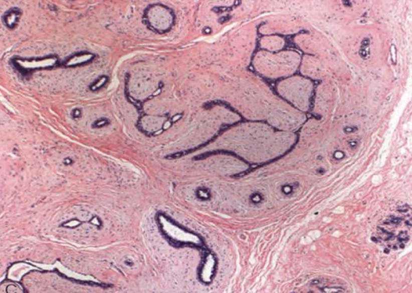 <p>A- identify</p><p>B- describe</p><p>C- originate from ?</p>