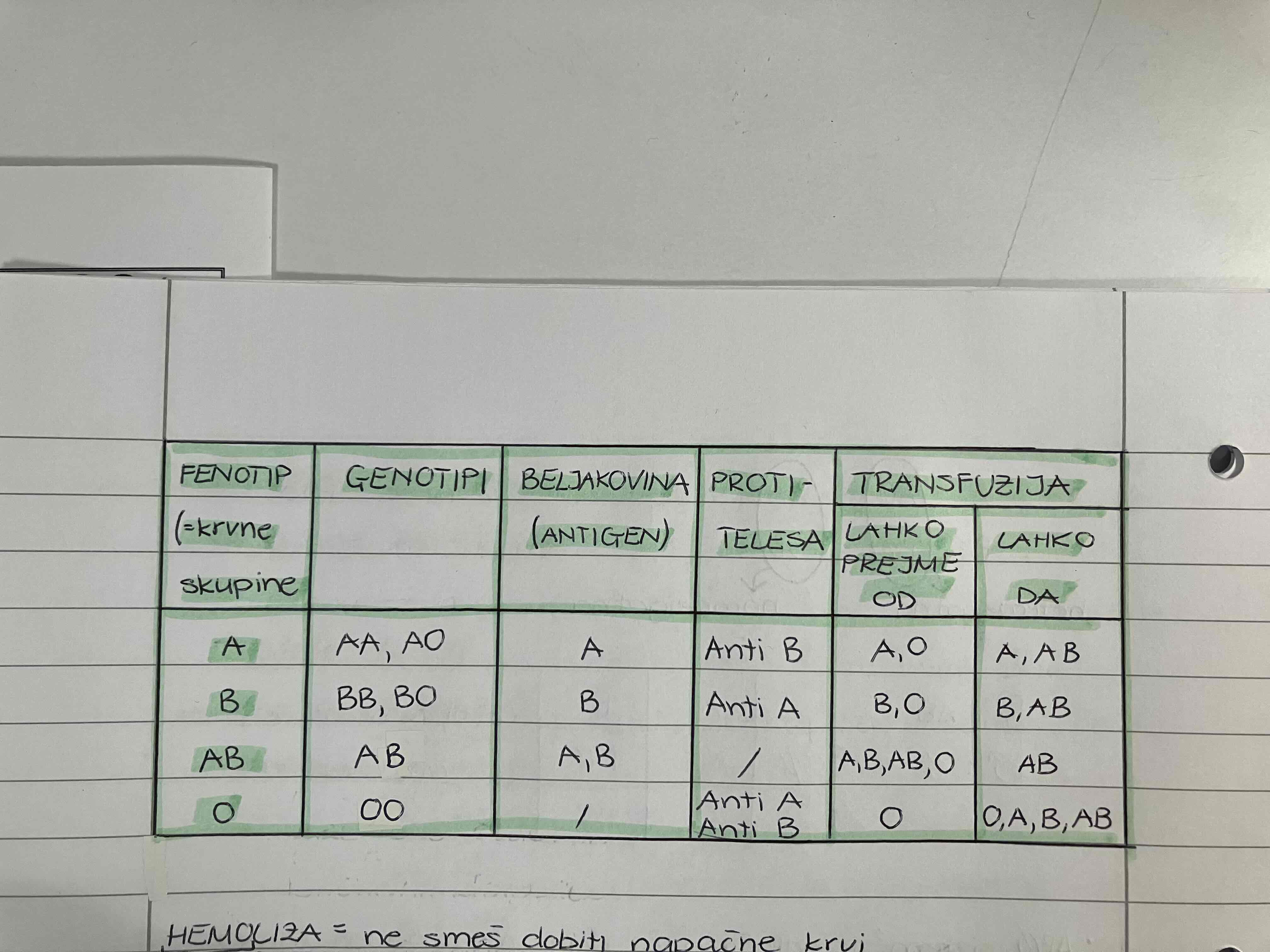 <ul><li><p>aleli dolocajo beljakovine krvnih celic</p></li><li><p>eritrociti so krvne skupine, vsebujejo hemoglobin (rdece barvilo, ki prenasa kisik po krvi)</p></li><li><p>beljakovine = tu se tvorijo mocna proti telesa</p></li><li><p>podobne beljakovine so tudi na nekaterih podobnih bakterijah</p></li><li><p>HEMOLIZA = ne smes dobiti napacne krvi</p></li><li><p>hemo = kri</p></li><li><p>liza = razpad</p></li><li><p>univerzalni dajalec = skupina O</p></li><li><p>univerzalni prejemnik = skupina AB</p></li><li><p>avtoimunske bolezni = telo izdela protitelesa, ki napadejo samega sebe (astma, zivcne bolezni)</p></li></ul>