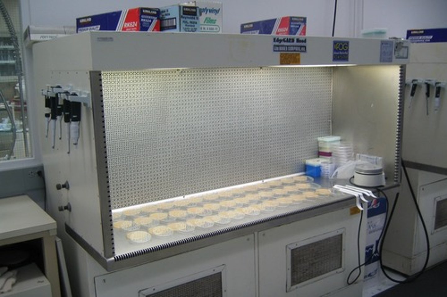 <p>A carefully enclosed bench designed to prevent contamination of biological samples or any particle sensitive materials. Air is drawn through a HEPA filter and blown in a very smooth flow towards the user.</p>