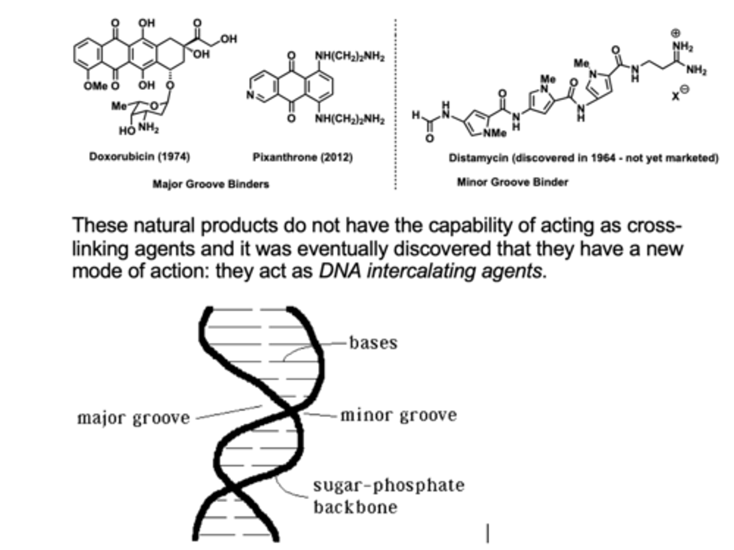 <p>•Chemicals which insert themselves into the DNA double helix<br>•Can lead to addition or deletion of bases<br><br>- Examples: ethidium bromide,<br>anti-cancer drugs, e.g. doxorubicin, bleomycin</p>