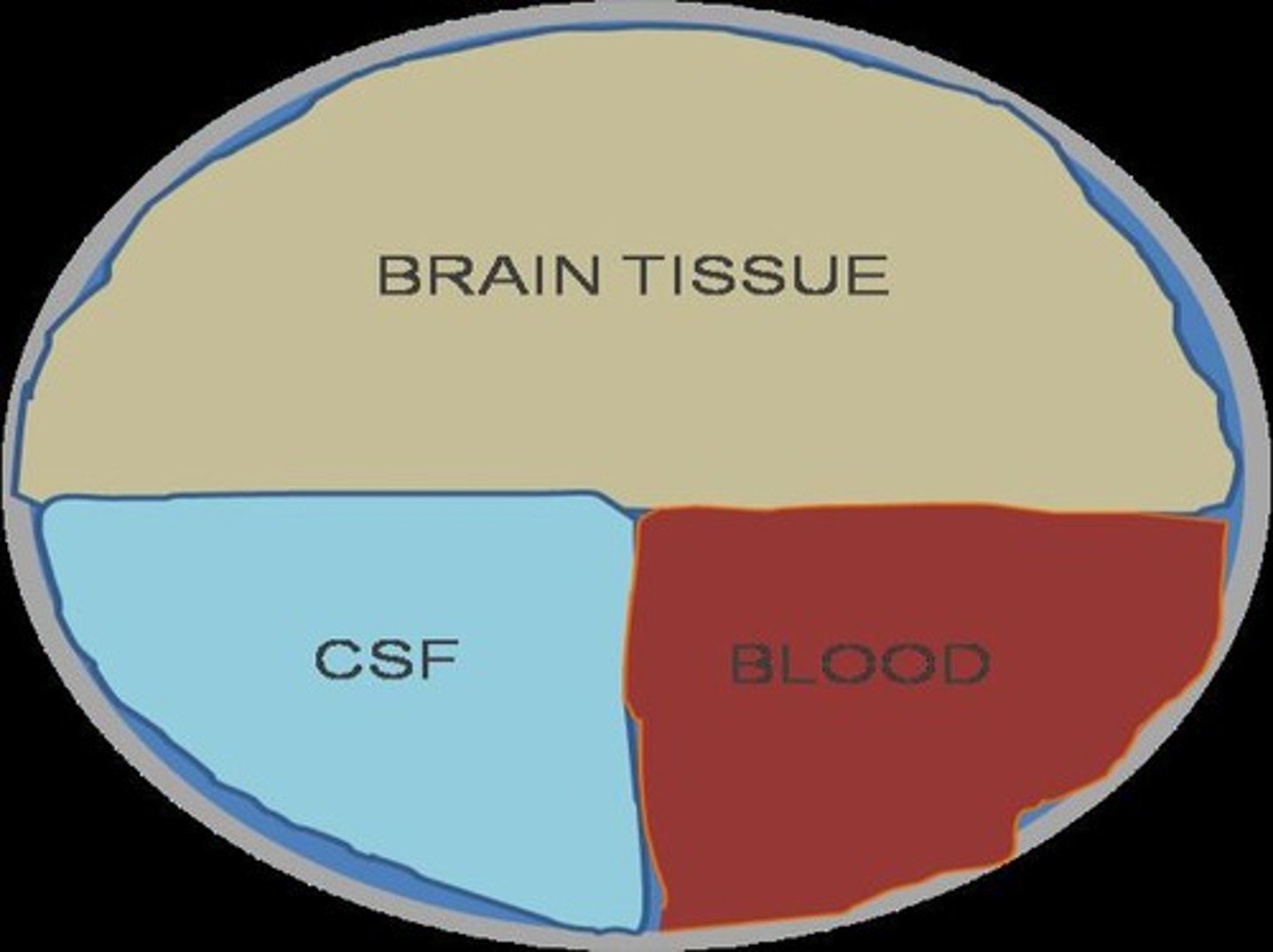 <p><strong>Vasogenic edema</strong> - Caused by breakdown of the blood–brain barrier</p><p><strong>Cytotoxic edema</strong> - Caused by a head injury that leads to cells losing the ability to regulate fluids </p><p><strong>Interstitial Cerebral edema</strong> - Caused by obstructive or non-obstructive hydrocephalus (CSF Build-up)</p>
