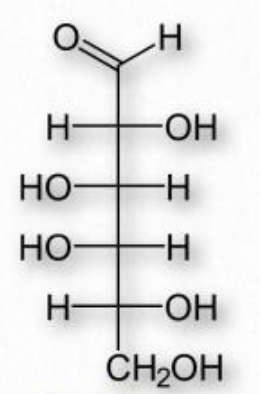 <p>Is this:<br>a. Ribose<br>b. Glucose<br>c. Fructose<br>d. Galactose<br>e. Mannose </p>