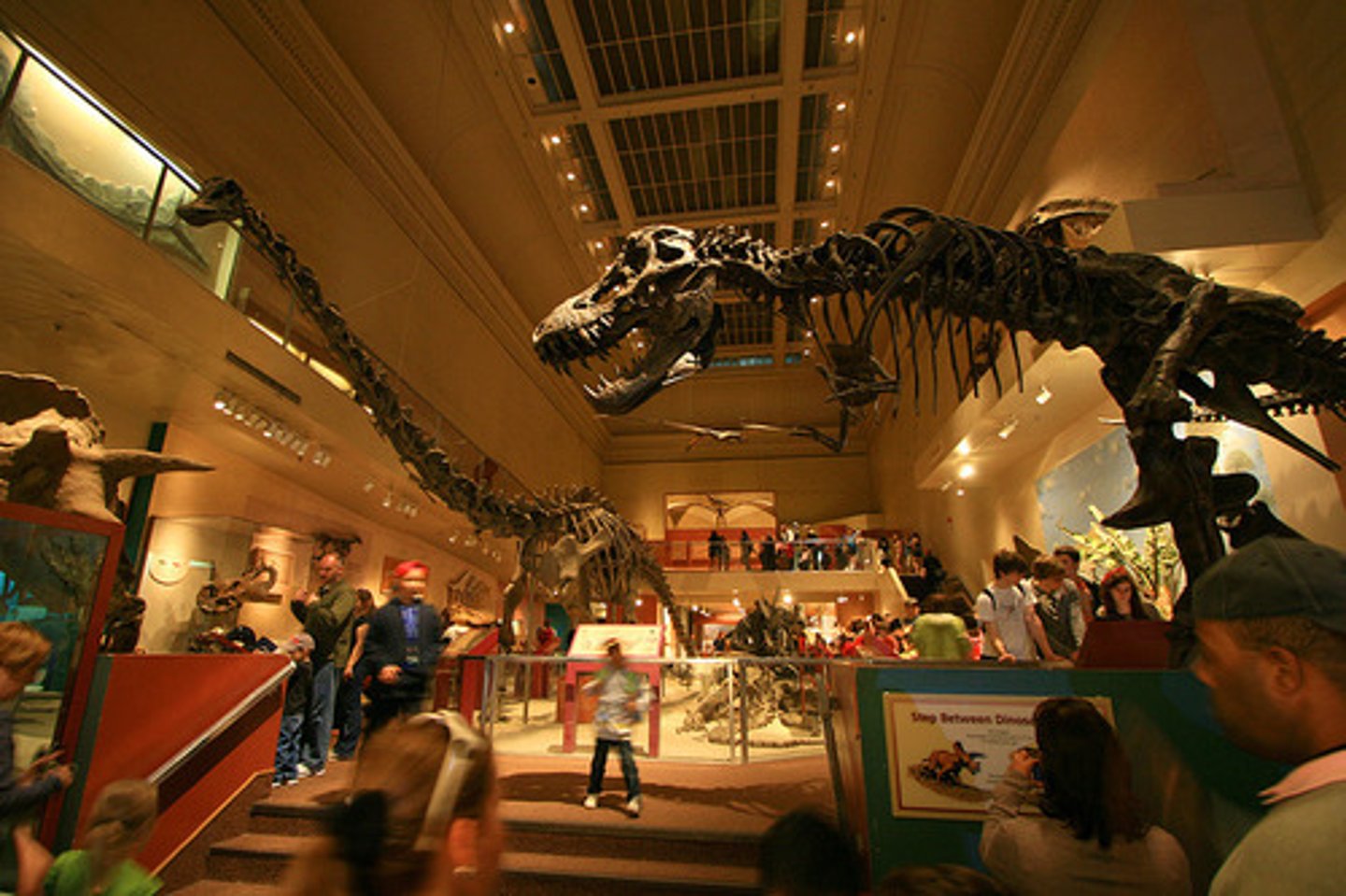 <p>viện bảo tàng</p>