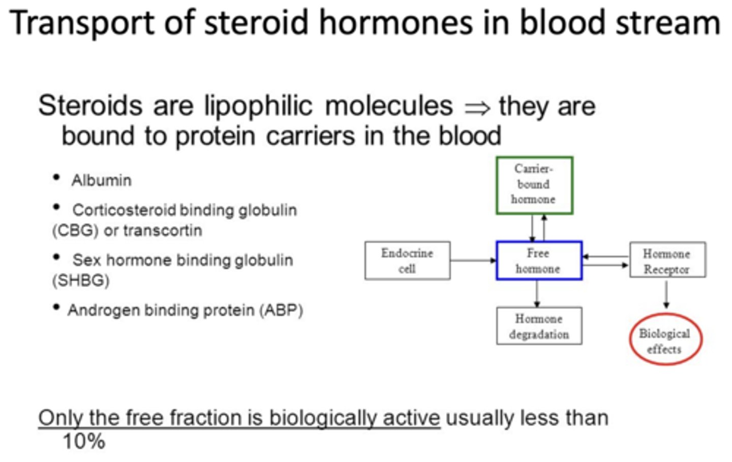 <p>lipophilic</p>