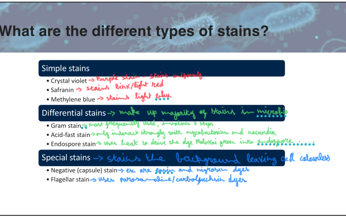 <p>C </p><p>attach slide 6 of w3p2</p>