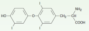 <p>Name the structure</p>