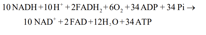 <p>Note: Typically less</p>