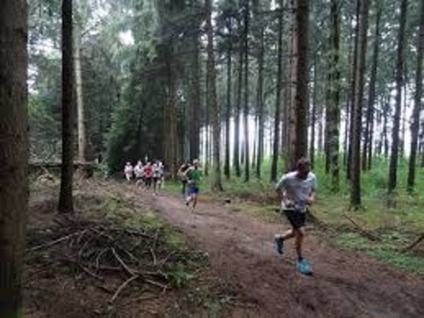 <p>to run cross-country</p>