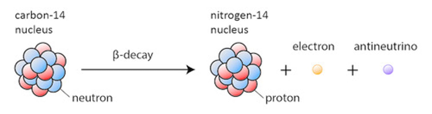 <p>(C) Electron, beta-decay</p><p>Carbon-14 would emit an electron, resulting in the conversion of one neutron into a proton.</p>