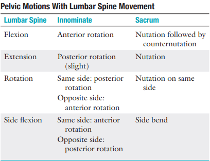 <p>Pelvic motions with lumbar spine movement</p>