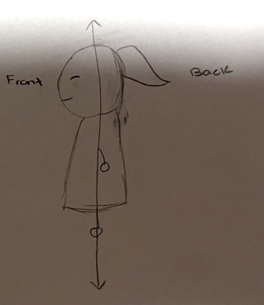 <ol start="39"><li><p>Frontal section</p></li></ol><p></p>