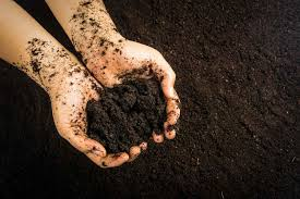 the dark, crumbly, nutrient-rich material that results from the decomposition of organic material.