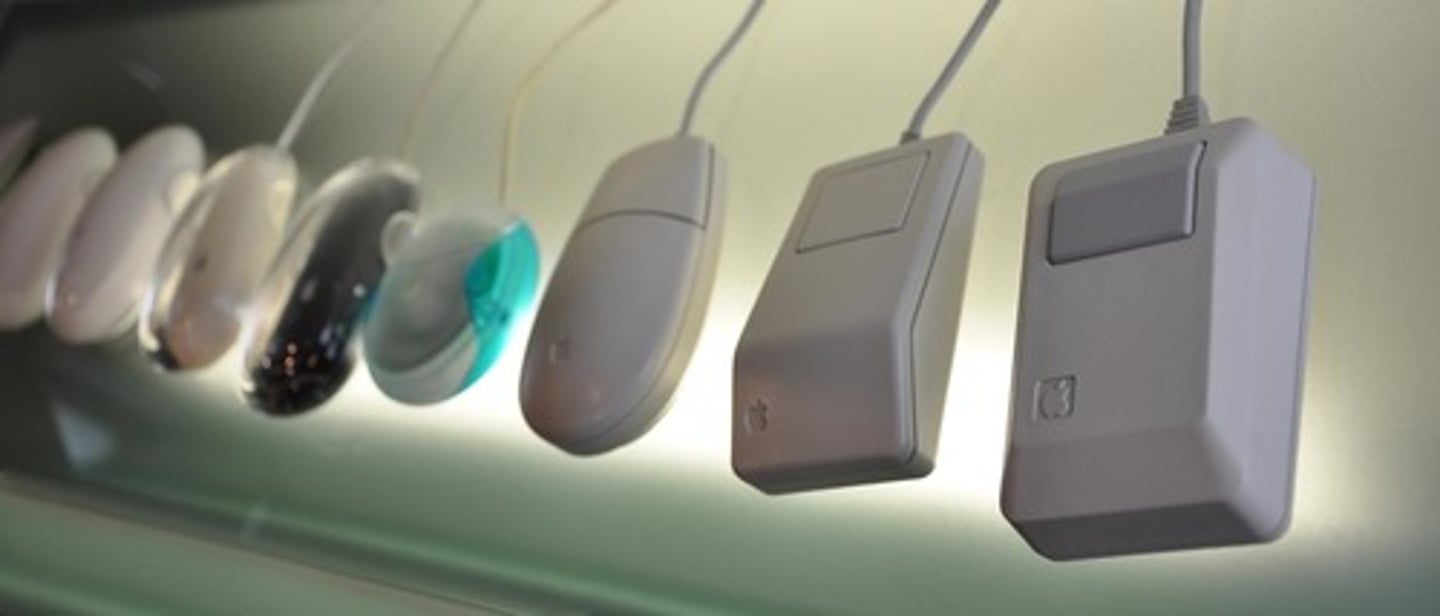 <p>the study of the roots of behavior and mental processes using the principles of natural selection</p>