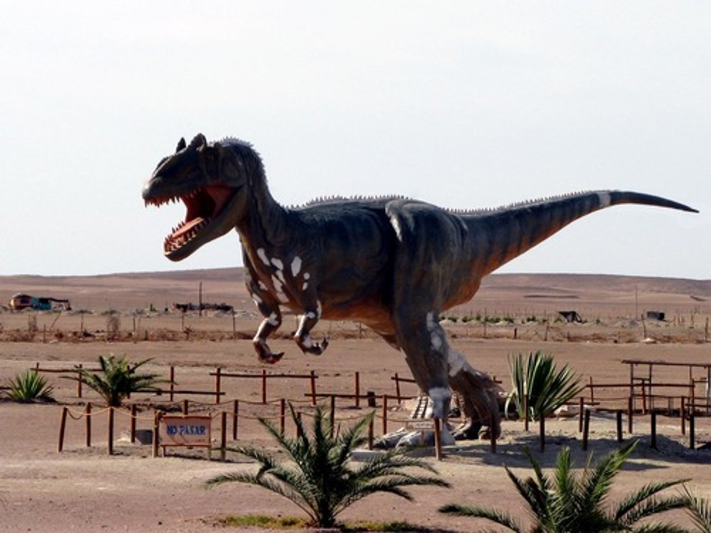 <p>dinosaur</p>