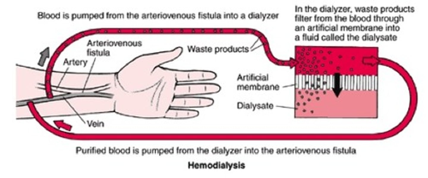 <p>Removes blood from an artery</p><p>Passes blood through a machine that filters out the urea and restores the correct water potential and ion concentrations of the blood</p><p>Returns the blood to the person's body into a vein.</p>