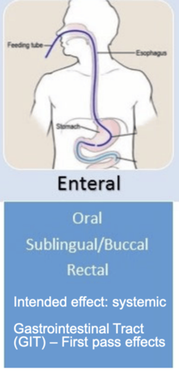 <p>drug administration via the human gastrointestinal tract</p><p>- intended effect: systemic</p><p>- first-pass effects</p><p>- oral, sublingual, buccal, rectal </p>