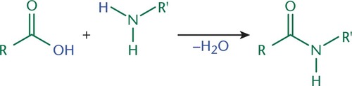 <ul><li><p>A carboxylic acid and amine can CONDENSE to form an AMIDE</p></li><li><p>Condensation because WATER is produced</p></li></ul>
