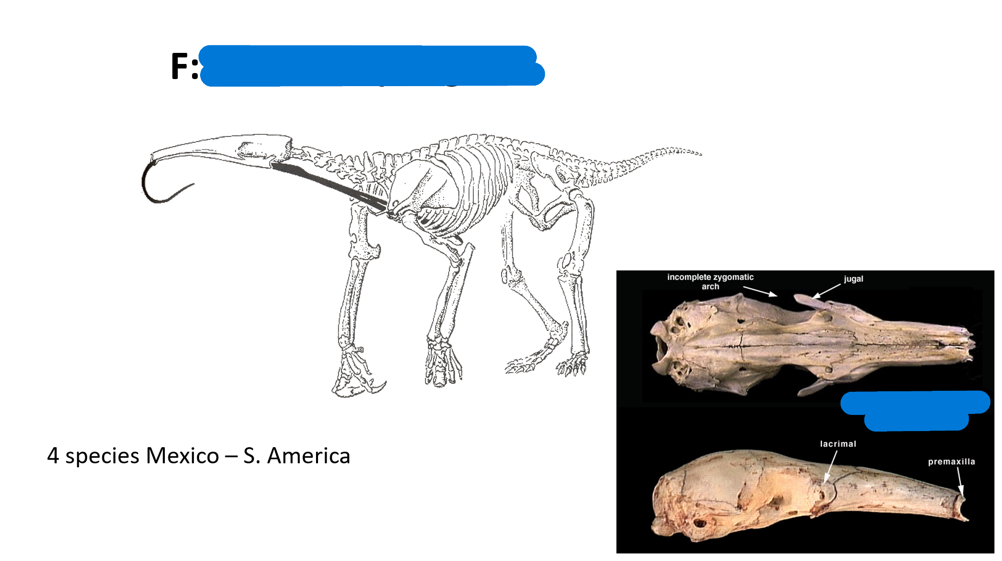 <p>Genus?</p><p>Common name?</p>
