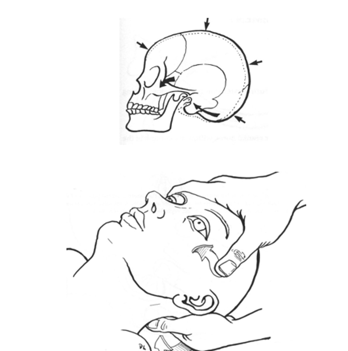 knowt flashcard image