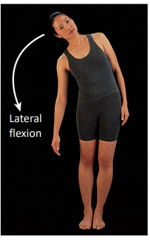 <p><strong>Flexion </strong>in a <strong>frontal plane </strong>usually involving the head or trunk</p>