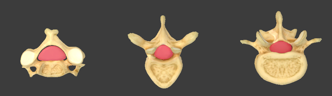 <p>What is this structure called?</p>
