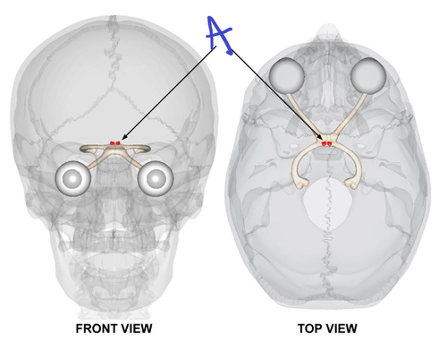 <p>name A and its input</p>
