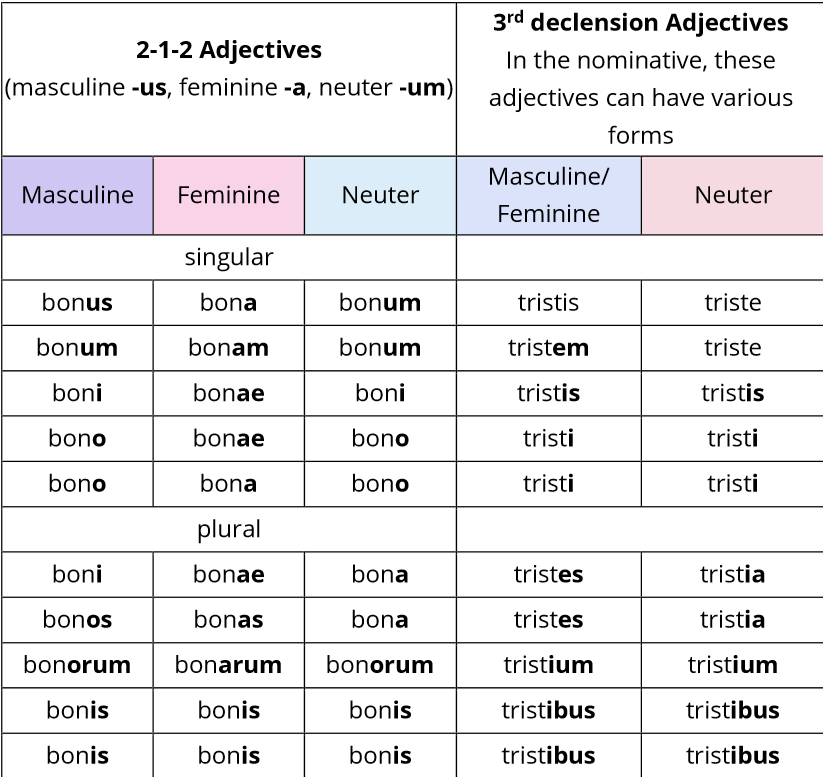 Adjectives