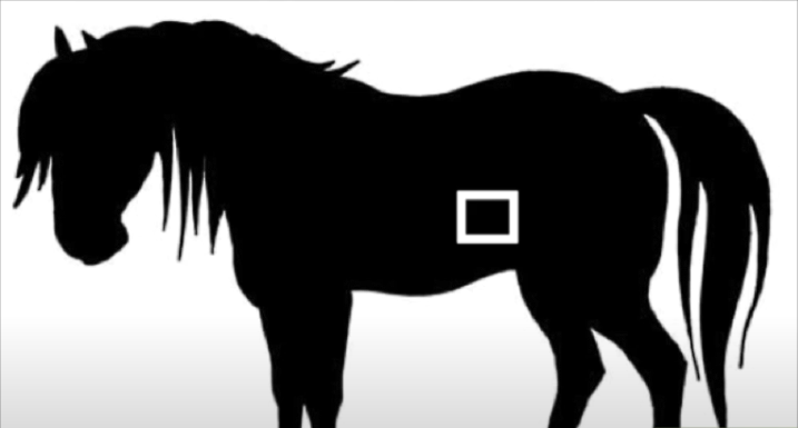 <p>What is this window?</p><p>What can we see?</p>