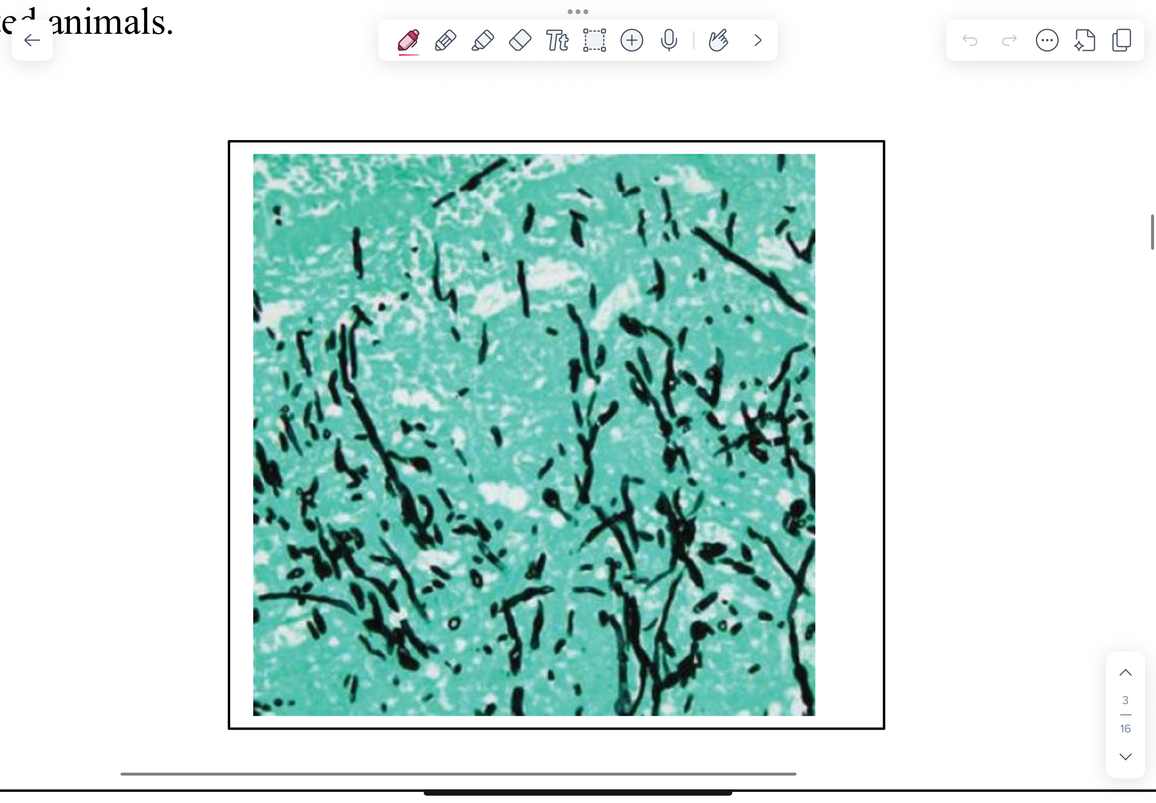 <p>What is this?</p>