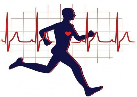 <p>Cardiorespiratory endurance - Ability of the lungs, heart, and blood vessels to deliver adequate amounts of oxygen to the cells to meet the demands of prolonged physical activity.</p>