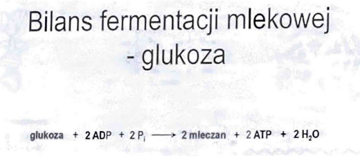 <p>2 cząsteczki ATP, 2 cząsteczki mleczanu</p>