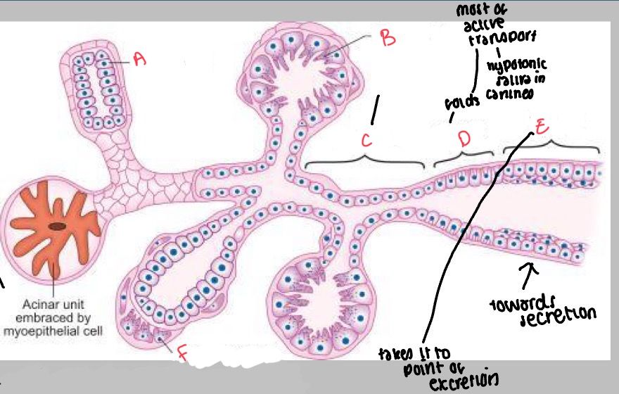 <p>What is B?</p>