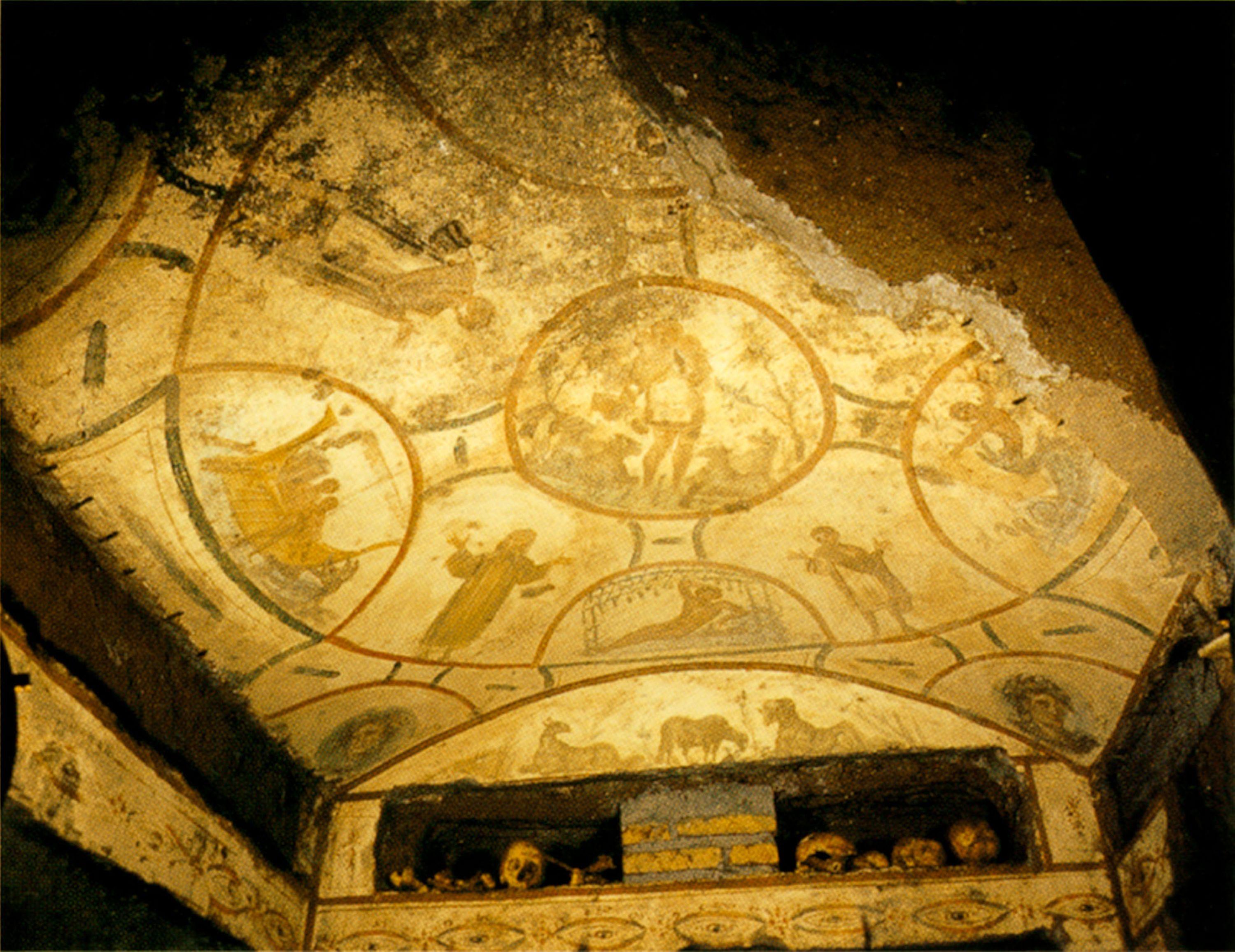 term image