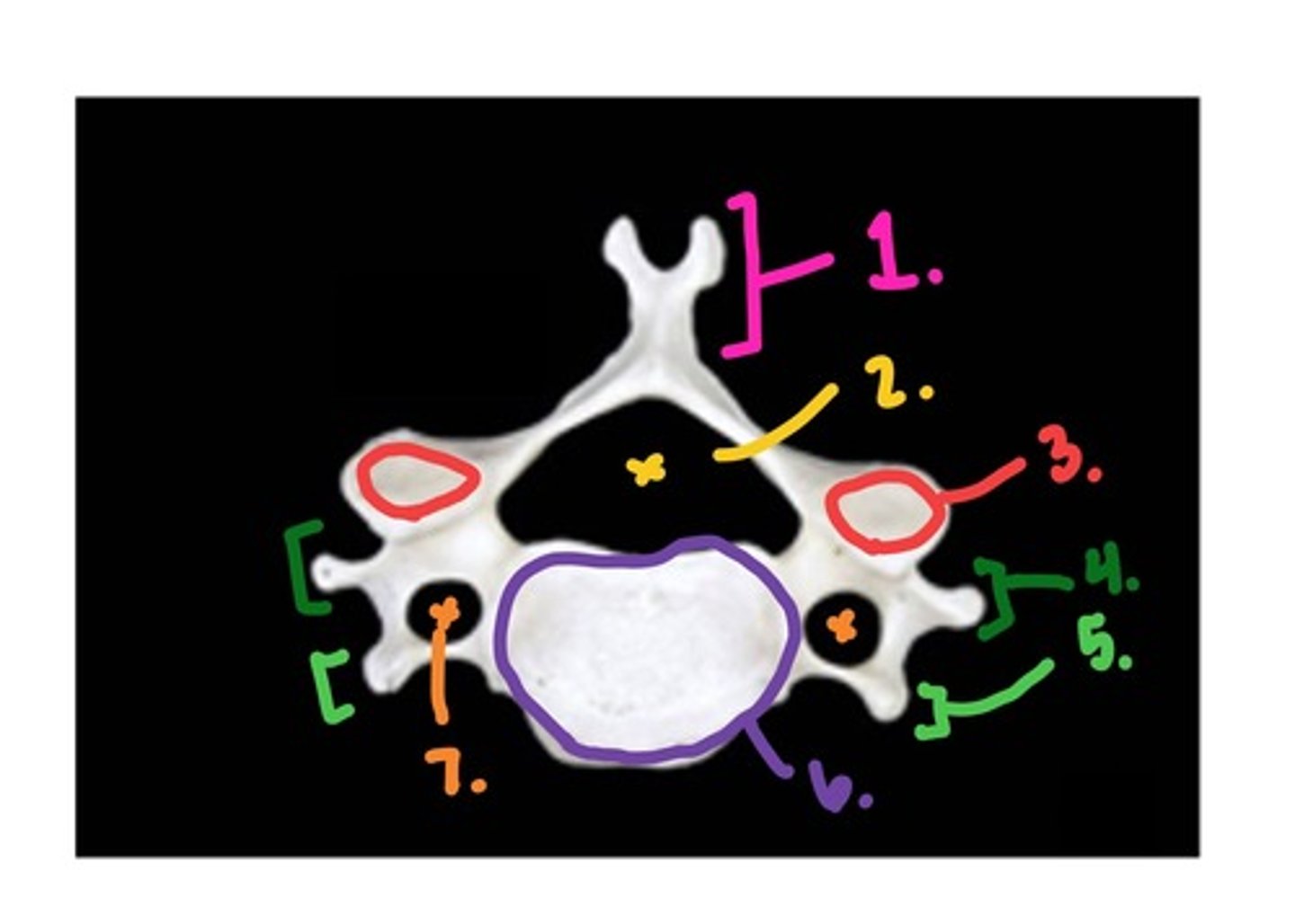 knowt flashcard image