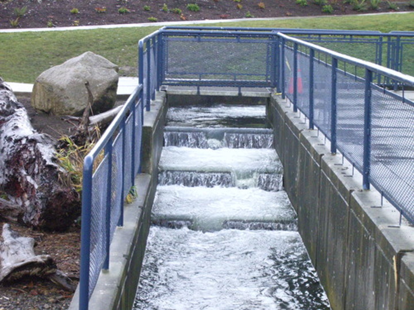 <p>Sets of stairs with water flowing over them to have fish migrate despite dams.</p>