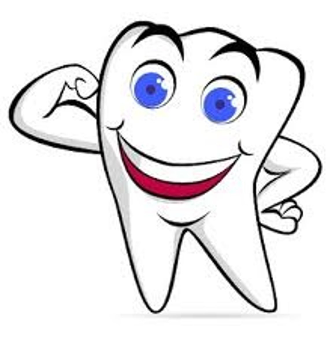 <p>tooth</p>