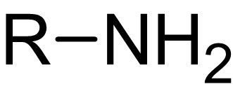 <p>-NH2 (functional group for amine)</p>