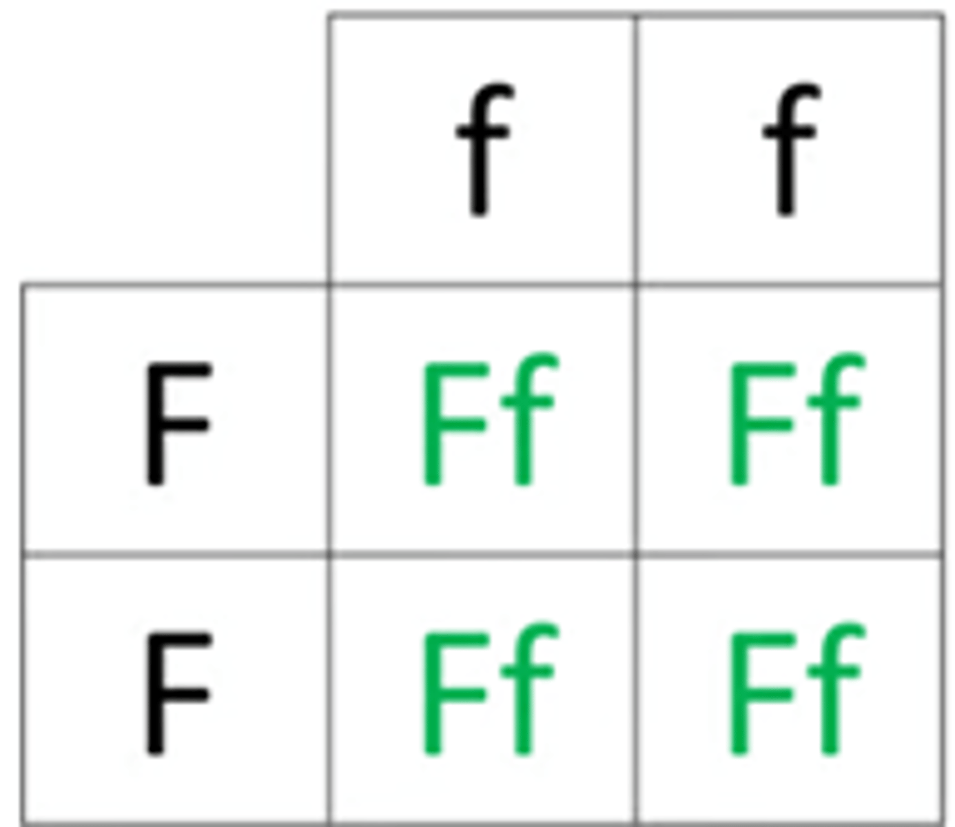<p>The completed Punnett square is as follows:<br>All boxes filled correctly with Ff; <br>And any one from the following:<br>A description that the Ff genotype causes the purple phenotype;<br>Only one copy of a dominant allele is needed for that feature to be expressed in the phenotype.</p>