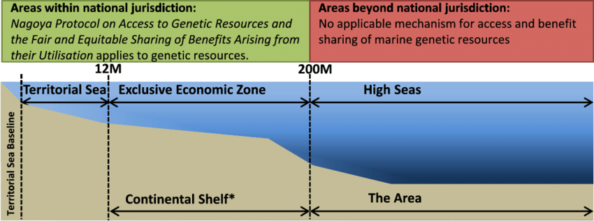 <p>International agreement that establishes legal guidelines for how countries can utilize and manage the world's oceans, defining boundaries like territorial waters, exclusive economic zones, and international waters, essentially creating a framework for managing maritime disputes and resource access across the globe</p><ul><li><p>Territorial Sea - 12 nautical miles - state has sovereignty, but subject to certain rights of innocent passage for foreign vessels</p></li><li><p>Exclusive Economic Zone (EEZ) - 200 nautical miles - state has exclusive rights to explore and exploit marine resources</p></li></ul><p></p>