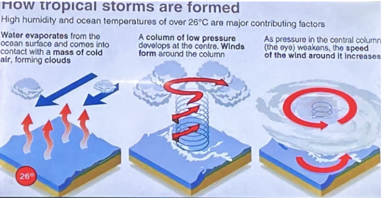 <ul><li><p><span style="background-color: transparent;">Temperature over 26 degrees celsius</span></p></li><li><p><span style="background-color: transparent;">Low atmospheric pressure</span></p></li></ul><p></p>