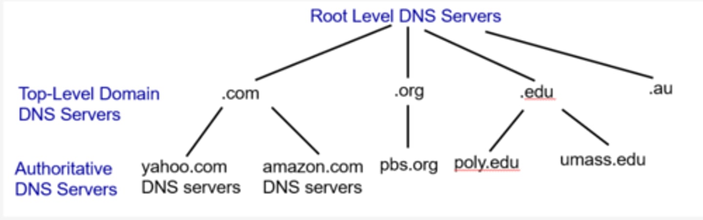 <p>It is tree-like, with nodes containing the information associated with it</p><p>The root server is the root node, followed by the level top level domain and then authoritative servers</p>